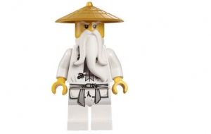 Satisfaction client - Lego Sensei Wu