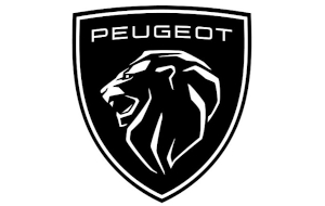 Expérience Client_Peugeot_NPS